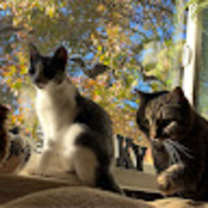 Meet your Posher, Mara